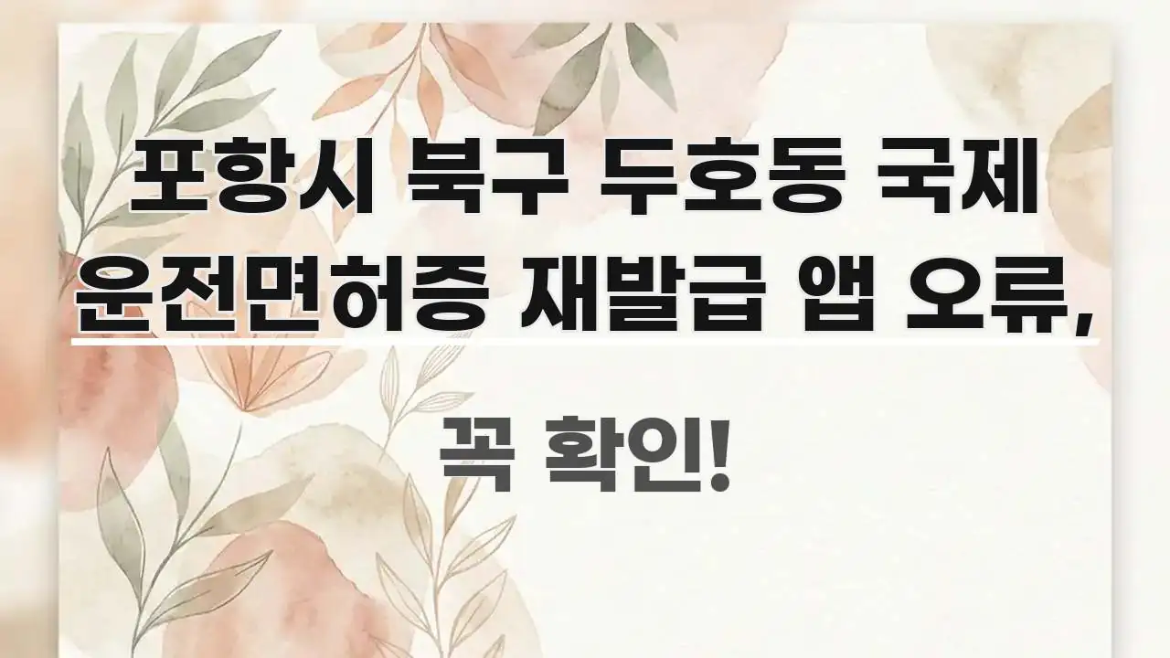 포항시 북구 두호동 국제 운전면허증 재발급 앱 오류, 검증된 정보로 구성된 핵심 키워드 시각화 이미지 - 글 흐름을 돕는 시각 자료