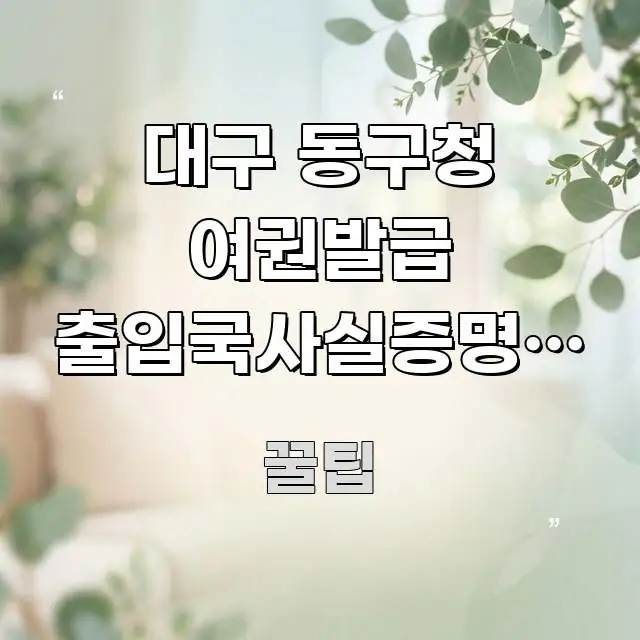 대구 동구청 여권발급 출입국사실증명서 필요한 경우 | 중요 내용만 뽑은 미니멀 블로그 썸네일 - 글 흐름을 돕는 시각 자료