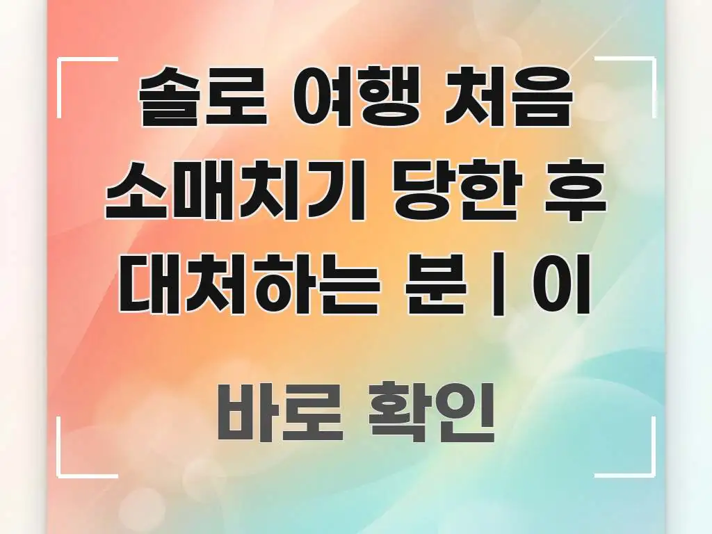 솔로 여행 처음 소매치기 당한 후 대처하는 분 | 이 이해하기 쉬운 정보 요약 인포그래픽 이미지 - 활용 예시 이미지