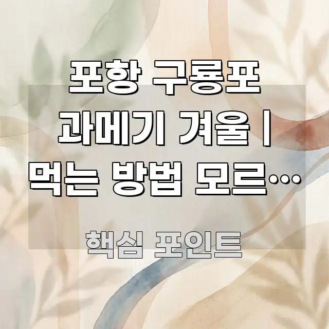 포항 구룡포 과메기 겨울 | 먹는 방법 모르면 반도 못 꼭 필요한 정보만 담은 텍스트 기반 블로그 이미지 - 참고용 이미지