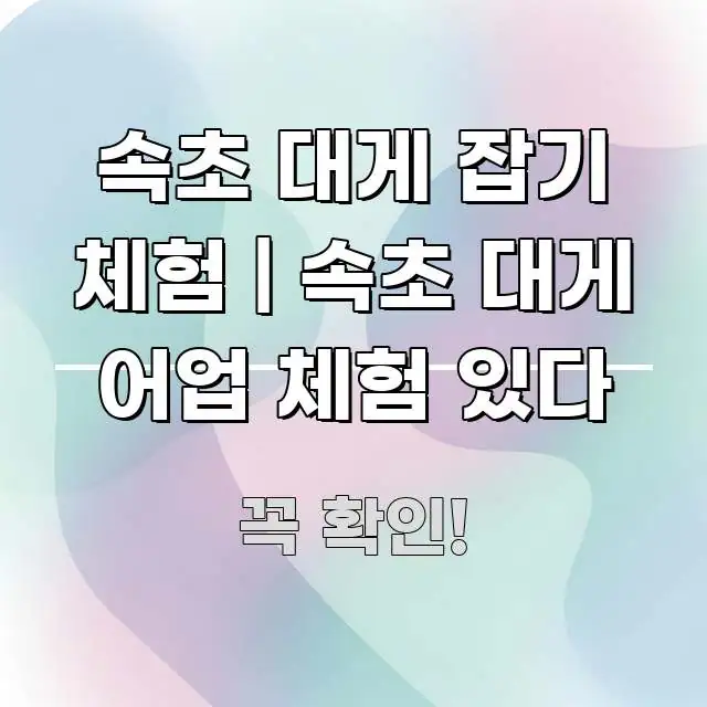 속초 대게 잡기 체험 | 속초 대게 어업 체험 있다 구조적으로 정리된 블로그 헤더 이미지 - 활용 예시 이미지