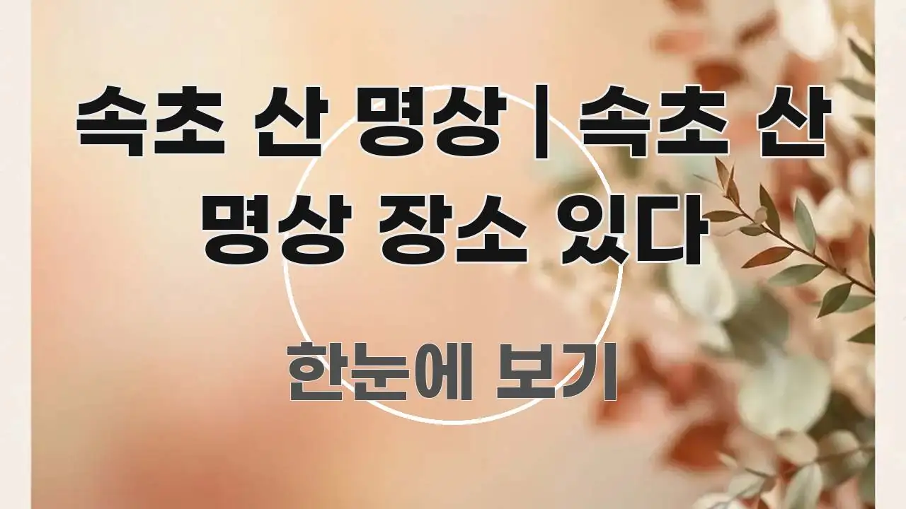 속초 산 명상 | 속초 산 명상 장소 있다 핵심 정보를 압축한 정보 전달형 표지 이미지 - 본문 내용과 연관된 이미지