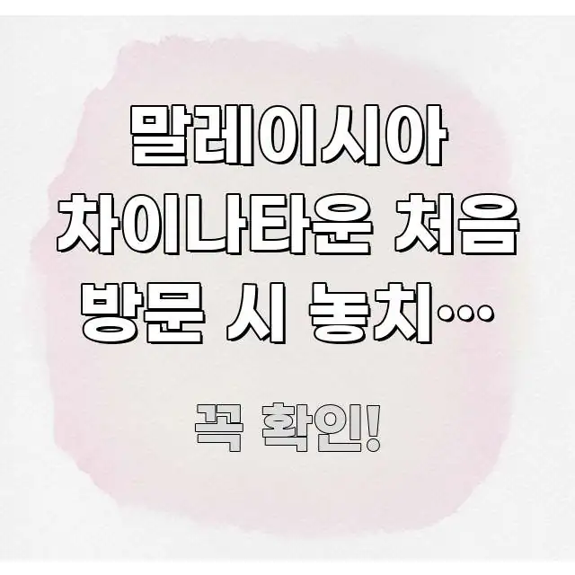 말레이시아 차이나타운 처음 방문 시 놓치기 쉬운 3가지 가독성 높게 정리한 블로그 헤더 이미지 - 설명을 돕는 이미지