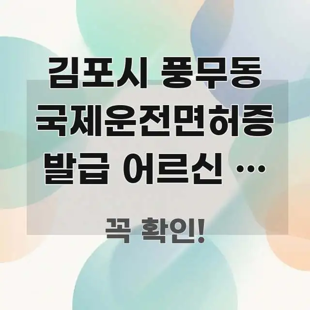 김포시 풍무동 국제운전면허증 발급 어르신 | 김포시청 전문적으로 분석한 텍스트 중심 디자인 표지