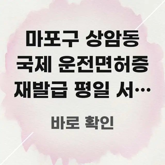 마포구 상암동 국제 운전면허증 재발급 평일 서류 | 검증된 정보로 구성된 정보 카드 디자인 이미지 - 참고용 이미지