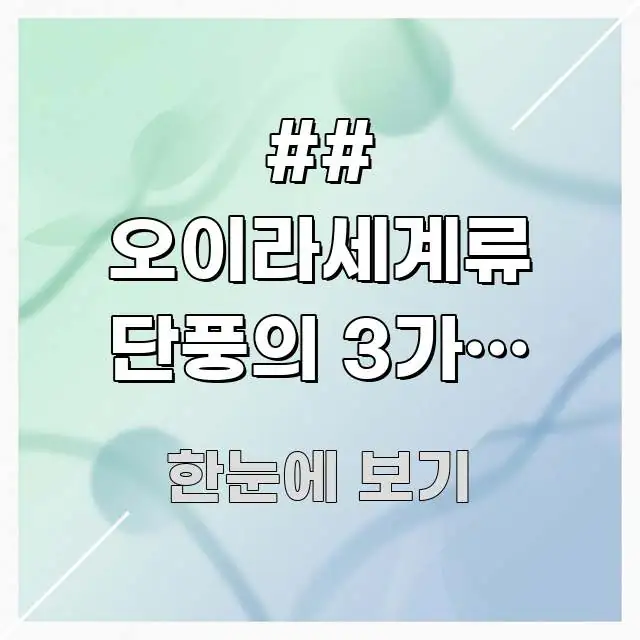 ## 오이라세계류 단풍의 3가지 유형: 고도별로 다른 쉽게 읽히는 타이포그래피 블로그 표지 - 설명을 돕는 이미지