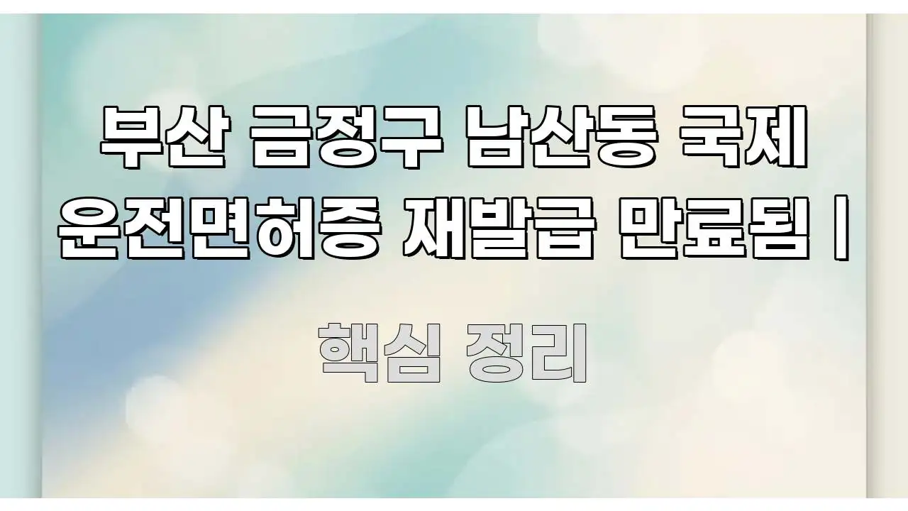 부산 금정구 남산동 국제 운전면허증 재발급 만료됨 | 주요 포인트를 요약한 블로그 포스트 커버 이미지