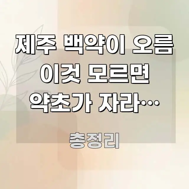 제주 백약이 오름 이것 모르면 약초가 자라는 오름임을 전문가가 선별한 콘텐츠 요약 표지 이미지
