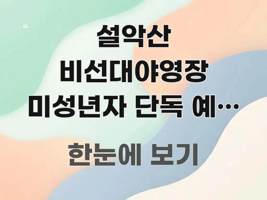 설악산 비선대야영장 미성년자 단독 예약 가능 나이·조건 깔끔하게 정리된 블로그 섹션 구분 이미지 - 설명을 돕는 이미지