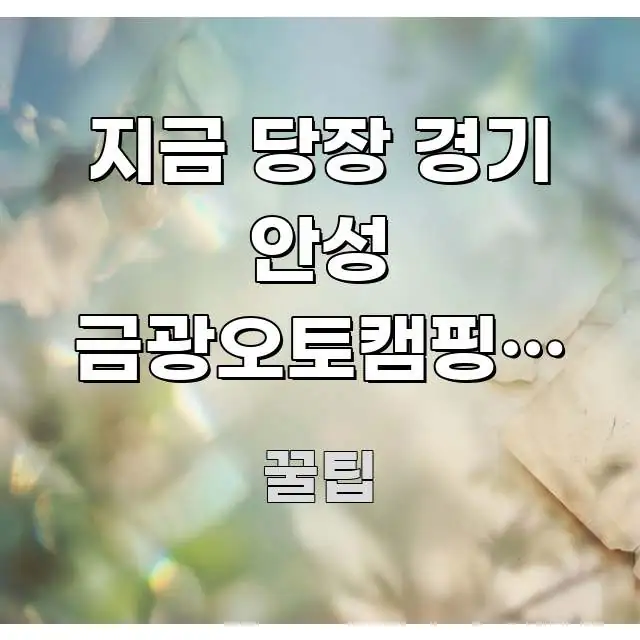 지금 당장 경기 안성 금광오토캠핑장 예약 자리 있는지 심플하고 명확하게 정리한 모던 카드뉴스 디자인 - 본문 내용과 연관된 이미지