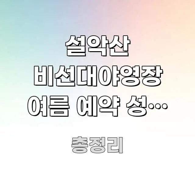 설악산 비선대야영장 여름 예약 성공 팁 | 강원 설악산 꼭 필요한 정보만 담은 블로그 섹션 구분 이미지 - 설명을 돕는 이미지