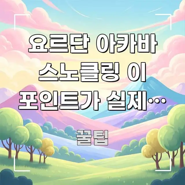 요르단 아카바 스노클링 이 포인트가 실제로 가장 산호가 핵심 요점 중심의 정보 정리 카드 이미지