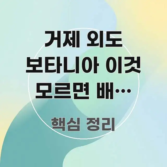 거제 외도 보타니아 이것 모르면 배편 타이밍을 놓칩니다 스마트하게 정리된 텍스트 포스터 이미지