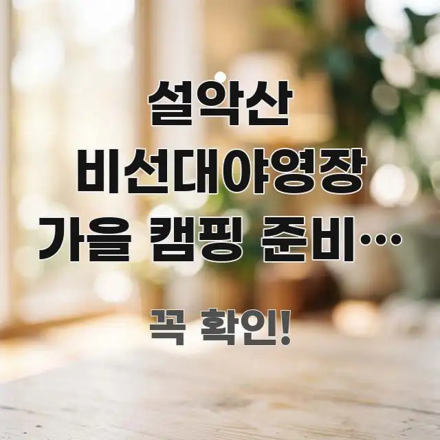 설악산 비선대야영장 가을 캠핑 준비물 | 강원 설악산 주요 흐름을 설명한 가독성 높은 정보 이미지 - 글 흐름을 돕는 시각 자료