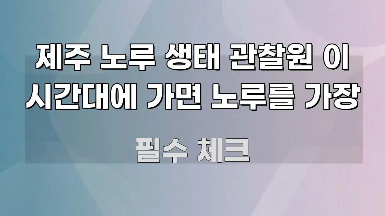 제주 노루 생태 관찰원 이 시간대에 가면 노루를 가장 핵심 요점 중심의 정보 전달형 표지 이미지 - 독자 이해를 위한 이미지