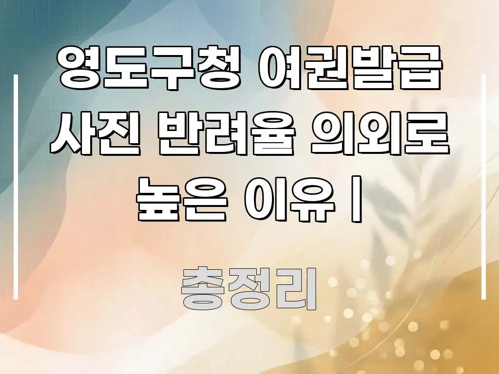 영도구청 여권발급 사진 반려율 의외로 높은 이유 | 쉽게 읽히는 정보 전달형 표지 이미지 - 내용 요약을 위한 이미지