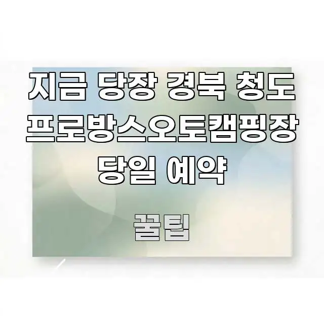 지금 당장 경북 청도 프로방스오토캠핑장 당일 예약 전문적으로 분석한 핵심 요약 디자인 카드 - 본문 내용과 연관된 이미지