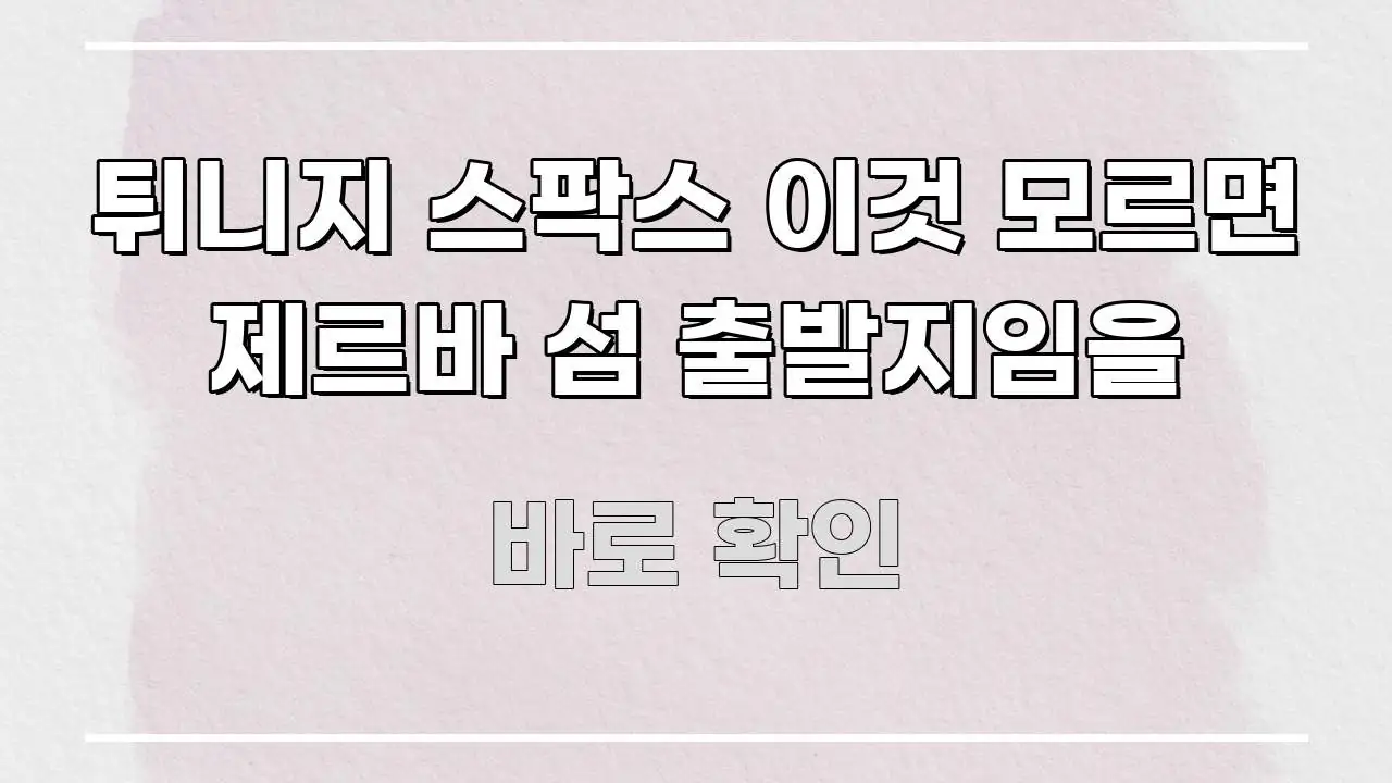 튀니지 스팍스 이것 모르면 제르바 섬 출발지임을 흥미롭게 구성한 가독성 높은 정보 이미지 - 설명을 돕는 이미지