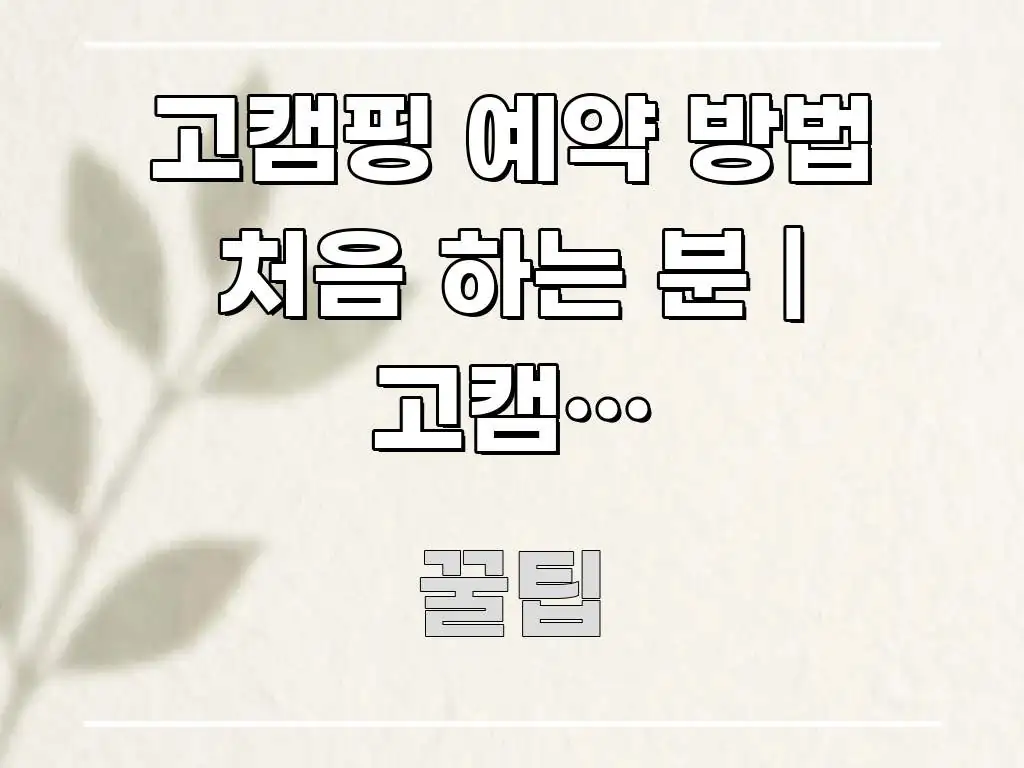 고캠핑 예약 방법 처음 하는 분 | 고캠핑 회원가입부터 주요 포인트를 요약한 블로그 섹션 구분 이미지