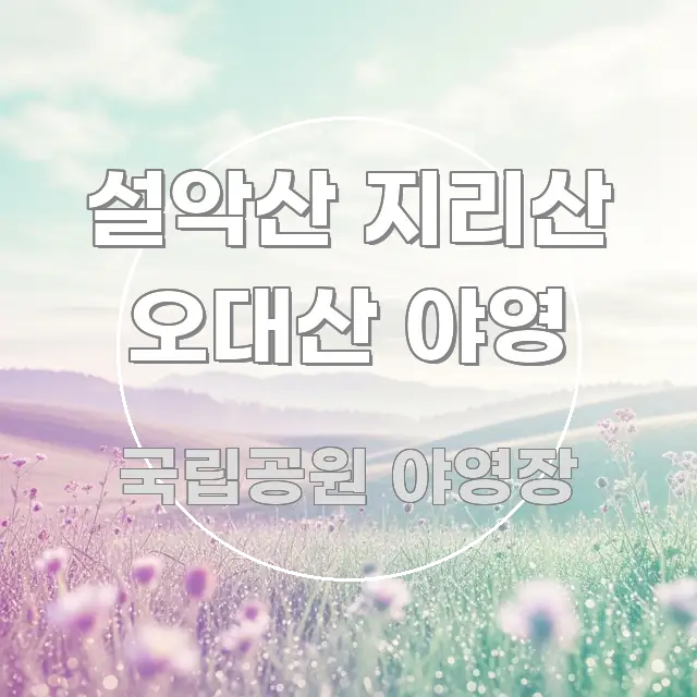 설악산 지리산 오대산 야영 핵심 키워드 중심의 스마트 정보 카드 - 글 흐름을 돕는 시각 자료