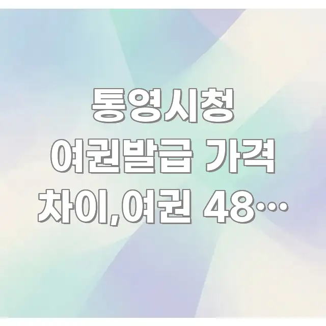 통영시청 여권발급 가격 차이,여권 48면 24면 이해하기 쉬운 정보 요약 인포그래픽 이미지