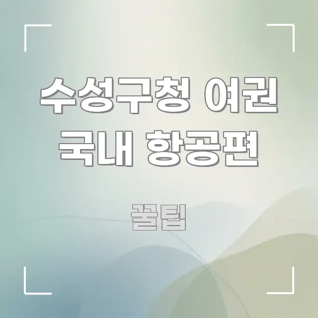 수성구청 여권 국내 항공편 전문적으로 분석한 읽기 좋은 정보 카드 - 본문 내용과 연관된 이미지