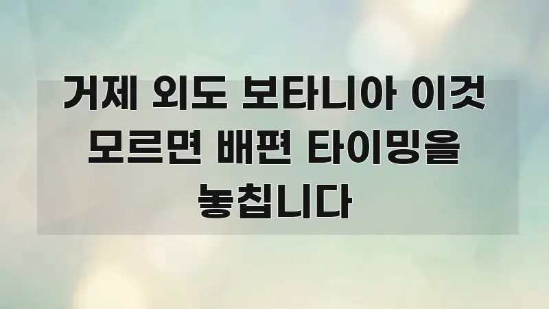 거제 외도 보타니아 이것 모르면 배편 타이밍을 놓칩니다 시선을 사로잡는 글 소개 썸네일 이미지 - 본문 내용과 연관된 이미지