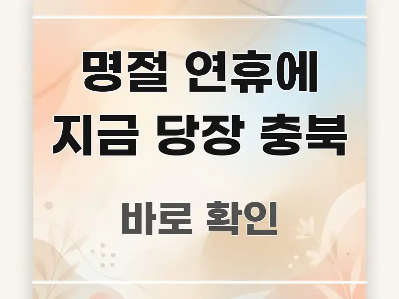 명절 연휴에 지금 당장 충북 정보 이미지 명절 연휴에 지금 당장 충북 꼭 필요한 정보만 담은 블로그 섹션 구분 이미지 - 활용 예시 이미지