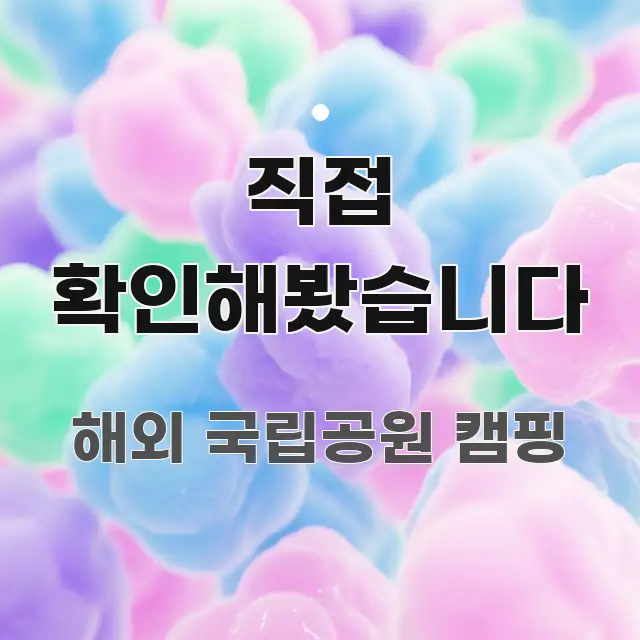 직접 확인해봤습니다 검증된 정보로 구성된 텍스트 중심 디자인 표지 - 독자 이해를 위한 이미지