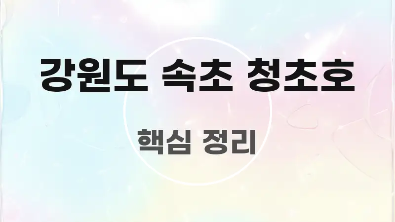 강원도 속초 청초호 정보 이미지 강원도 속초 청초호 핵심 정보 중심의 텍스트 중심 디자인 표지