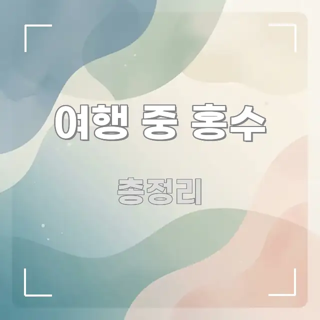 여행 중 홍수 한눈에 보기 좋게 요약한 깔끔한 인포그래픽 표지 - 글 흐름을 돕는 시각 자료