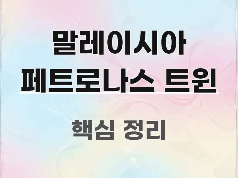 말레이시아 페트로나스 트윈 신뢰할 수 있는 정보를 담은 스마트 정보 카드 - 내용 요약을 위한 이미지