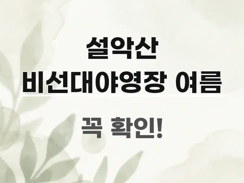 설악산 비선대야영장 여름 가독성 높게 정리한 블로그 섹션 구분 이미지