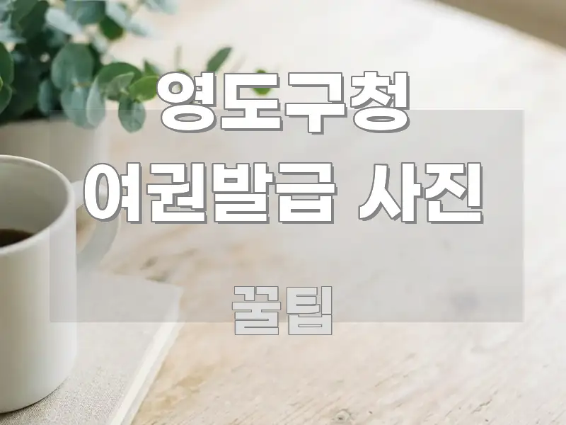 영도구청 여권발급 사진 시선을 사로잡는 텍스트형 카드뉴스 표지 이미지 - 활용 예시 이미지