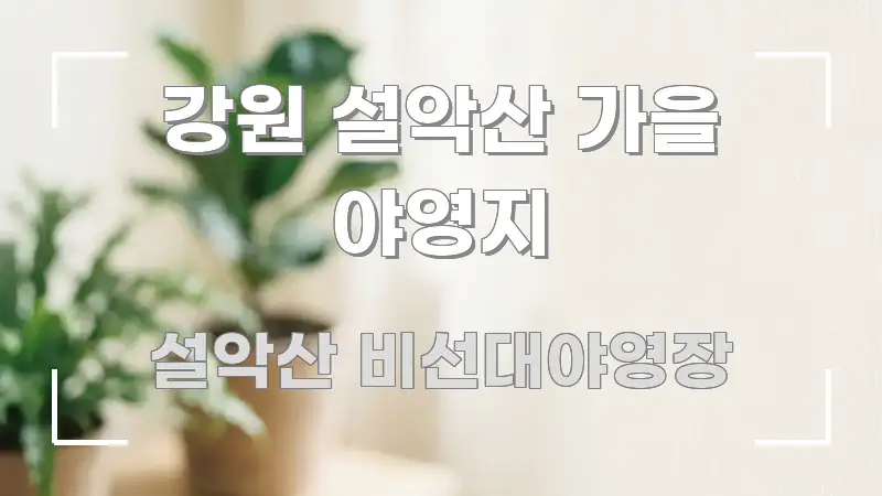 강원 설악산 가을 야영지 쉽게 따라할 수 있는 정보 카드 디자인 이미지