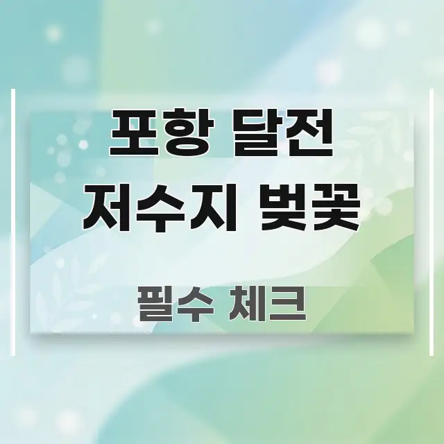 포항 달전 저수지 벚꽃 간결하고 명료한 정보 전달형 표지 이미지 - 참고용 이미지