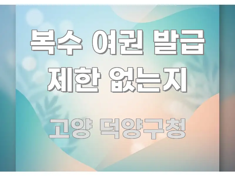 복수 여권 발급 제한 없는지 핵심 요점 중심의 포스트 대표 비주얼 이미지 - 설명을 돕는 이미지