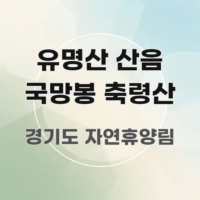 유명산 산음 국망봉 축령산 효율적으로 구성된 텍스트 중심 디자인 표지 - 활용 예시 이미지
