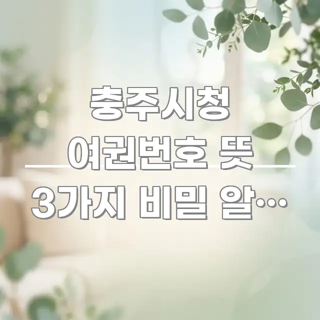 충주시청 여권번호 뜻 3가지 비밀 알면 20만 원 절약 신뢰할 수 있는 정보를 담은 미니멀 블로그 썸네일