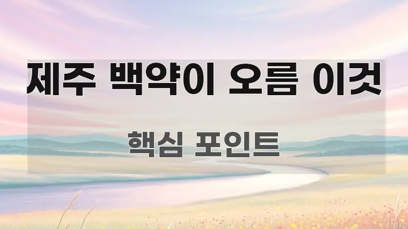 제주 백약이 오름 이것 이해하기 쉬운 미니멀 블로그 썸네일 - 설명을 돕는 이미지
