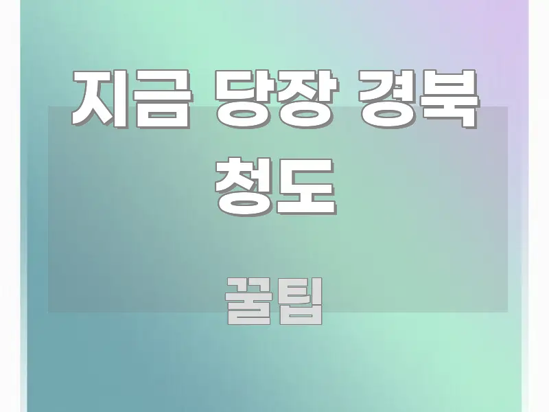 지금 당장 경북 청도 쉽게 따라할 수 있는 정보 전달형 표지 이미지 - 본문 내용과 연관된 이미지