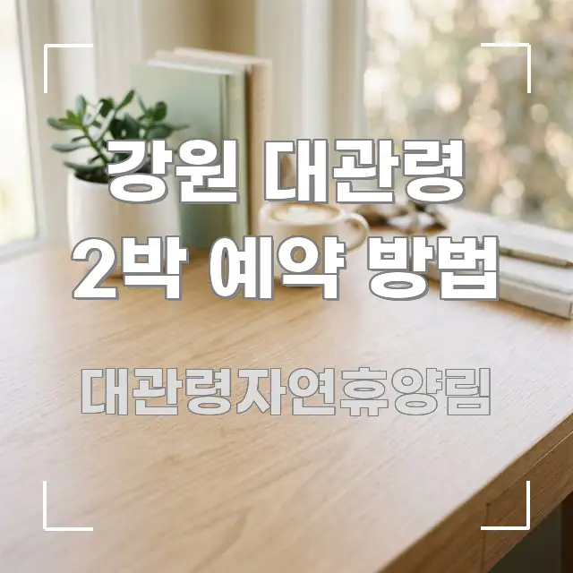 강원 대관령 2박 예약 방법 흐름을 잡아주는 심플 타이포그래피 표지 - 활용 예시 이미지