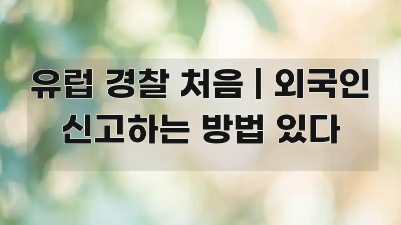 유럽 경찰 처음 | 외국인 신고하는 방법 있다 핵심 요점 중심의 블로그 섹션 구분 이미지