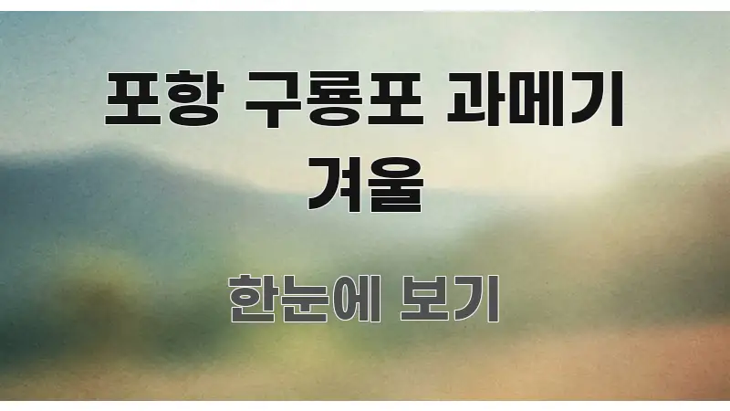 포항 구룡포 과메기 겨울 정보 이미지 포항 구룡포 과메기 겨울 핵심 내용을 정리한 정보 전달형 표지 이미지 - 글 흐름을 돕는 시각 자료