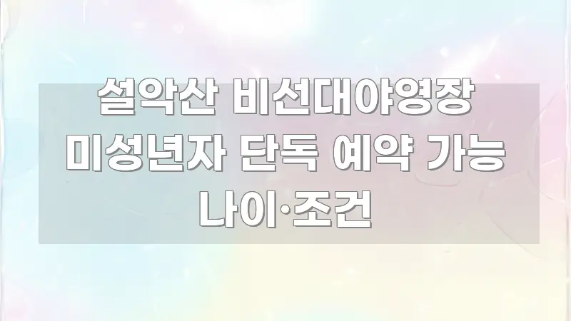 설악산 비선대야영장 미성년자 단독 예약 가능 나이·조건 전문가가 선별한 정보 요약 인포그래픽 이미지 - 독자 이해를 위한 이미지