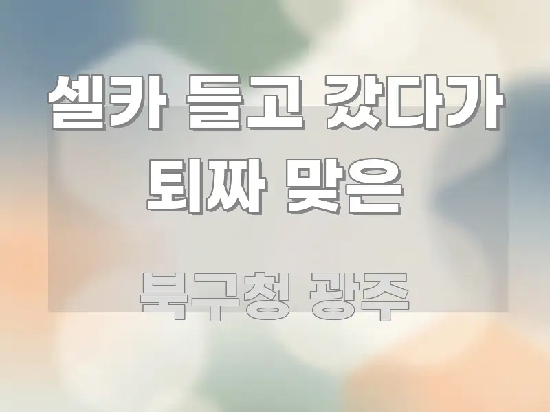 셀카 들고 갔다가 퇴짜 맞은 심플하고 명확하게 정리한 정보 카드 디자인 이미지