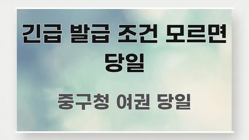 긴급 발급 조건 모르면 당일 실용적으로 정리한 정보 전달형 표지 이미지