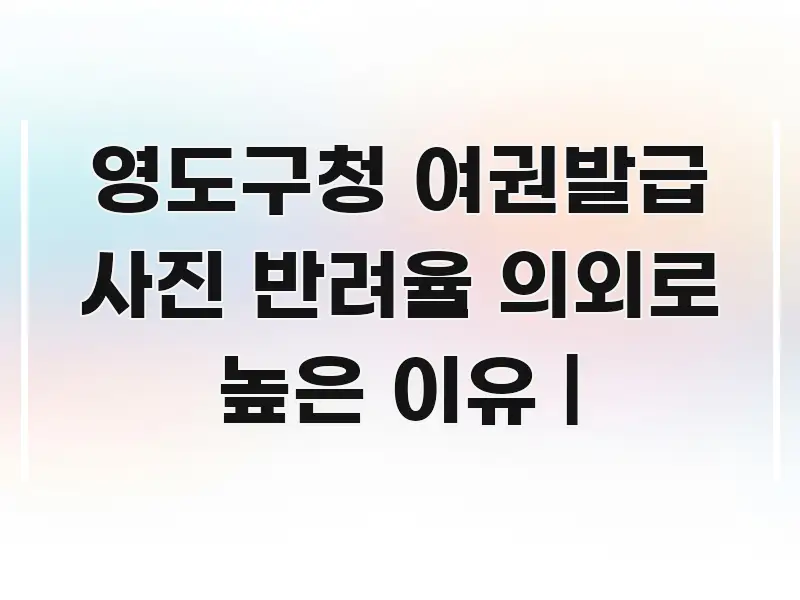 영도구청 여권발급 사진 반려율 의외로 높은 이유 | 핵심 개념을 담은 블로그 섹션 구분 이미지