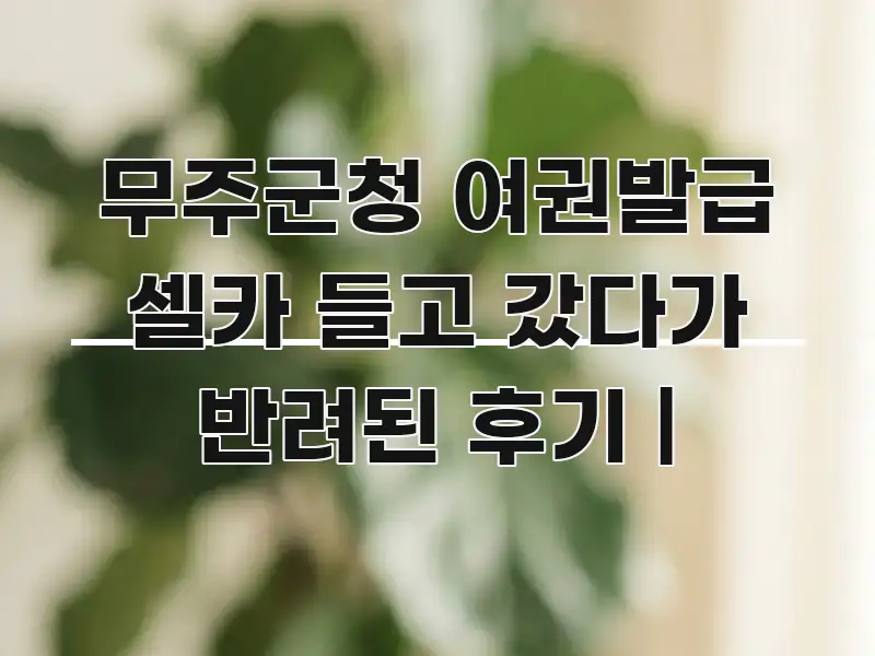 무주군청 여권발급 셀카 들고 갔다가 반려된 후기 | 쉽게 읽히는 텍스트 포스터 이미지 - 글 흐름을 돕는 시각 자료