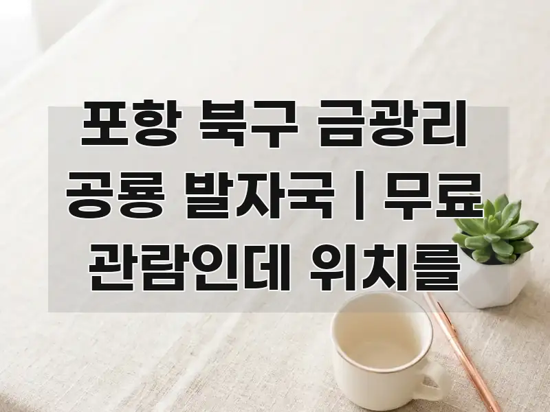 포항 북구 금광리 공룡 발자국 | 무료 관람인데 위치를 핵심 정보를 압축한 블로그 대표 이미지